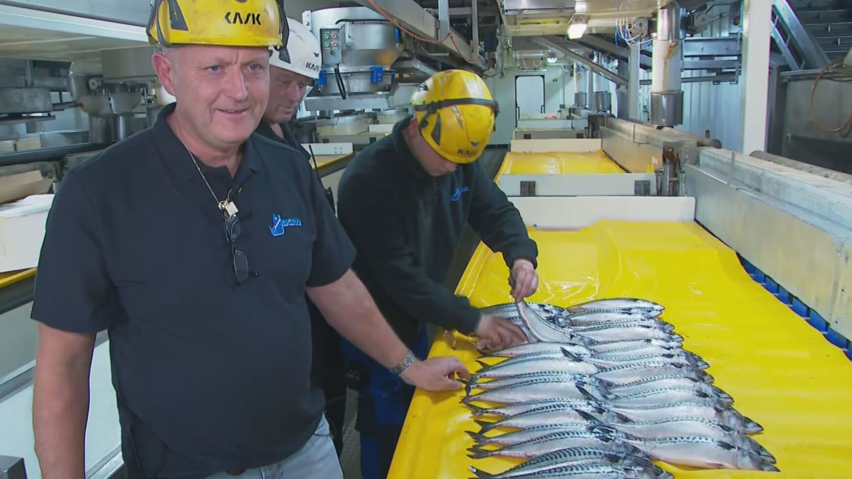 Zorgen bij vissers en rokerijen: supermarkten halen makreel uit schappen