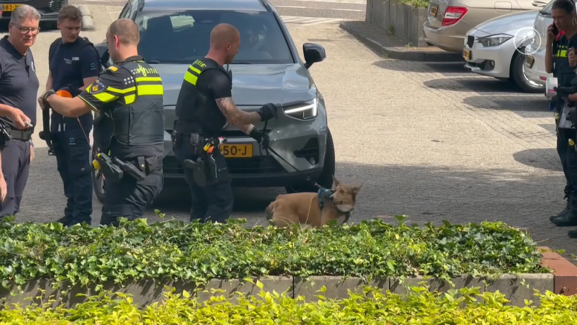 Hond bevrijd uit snikhete auto in Arnhem