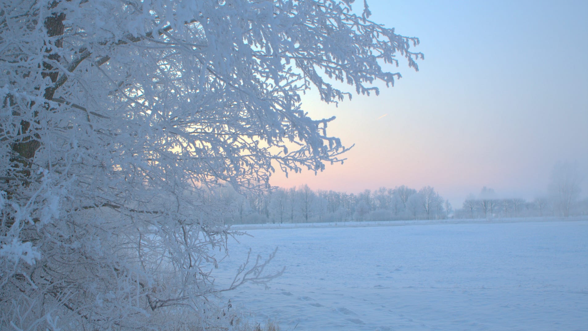 Nederlandse winter verandert van grijs, somber en regenachtig in zonnig en helder