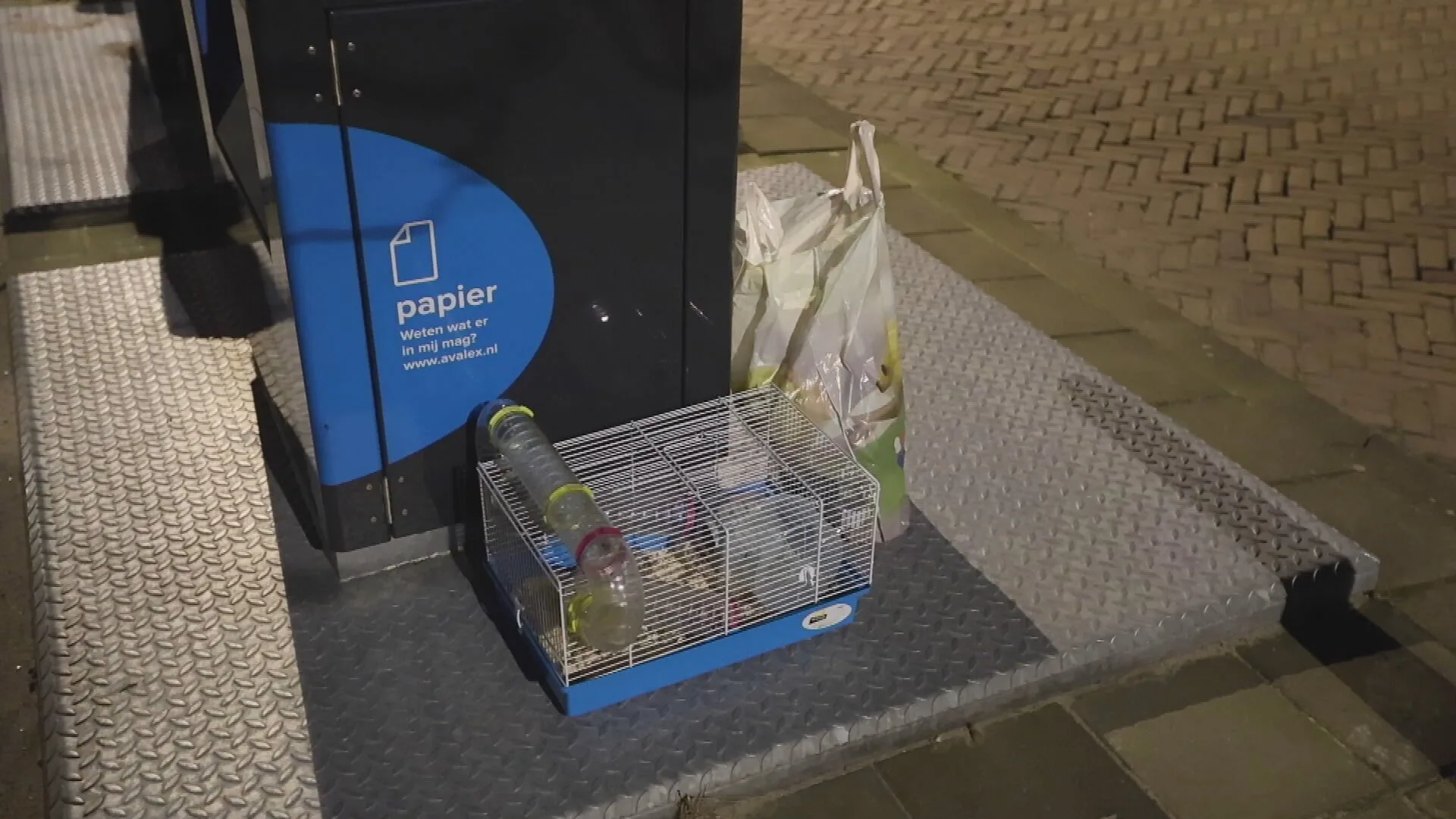 Twee hamsters gedumpt bij afvalcontainer in Rijswijk