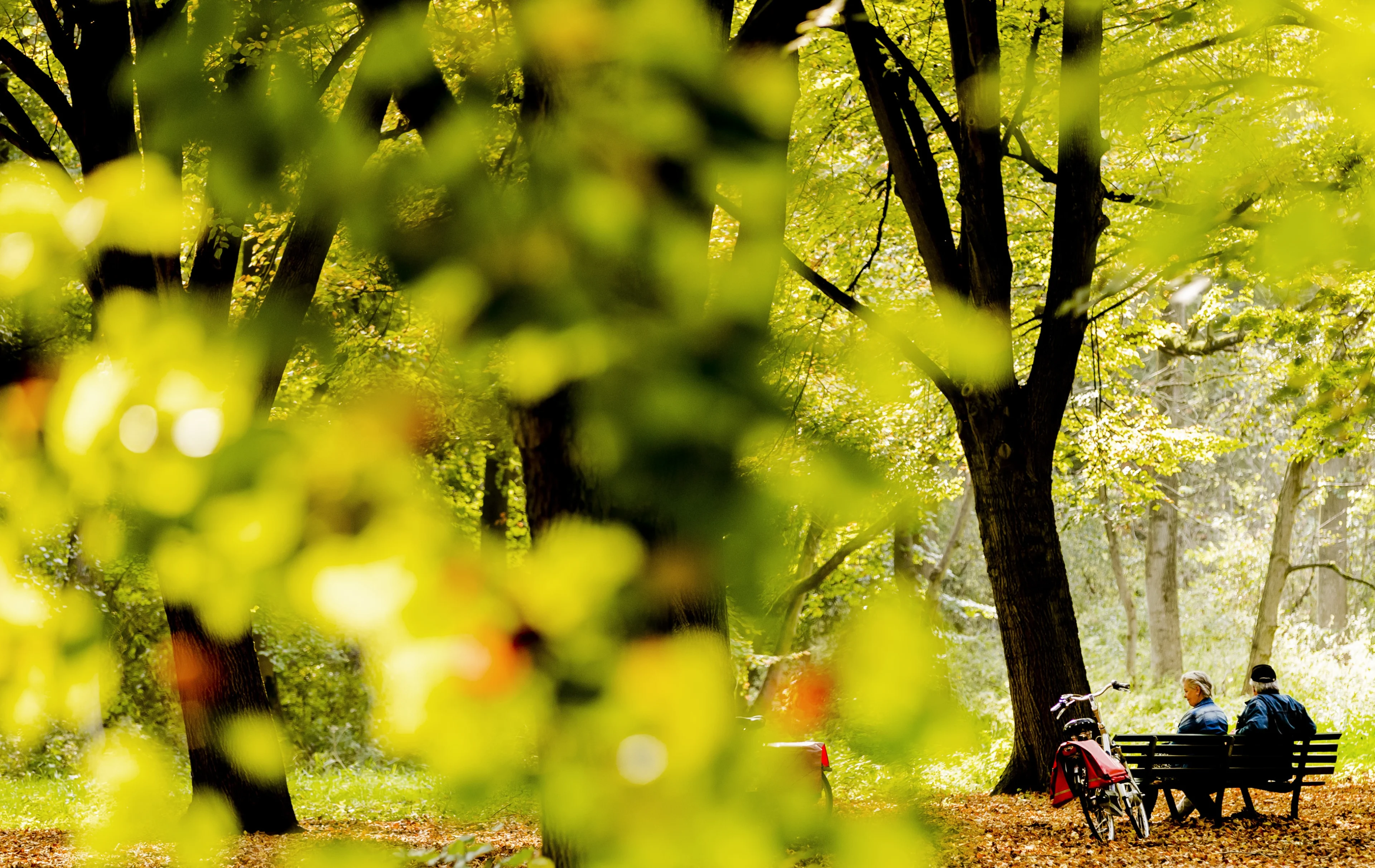 Rustige, grijze herfstdagen maken plaats voor zonnig weekend
