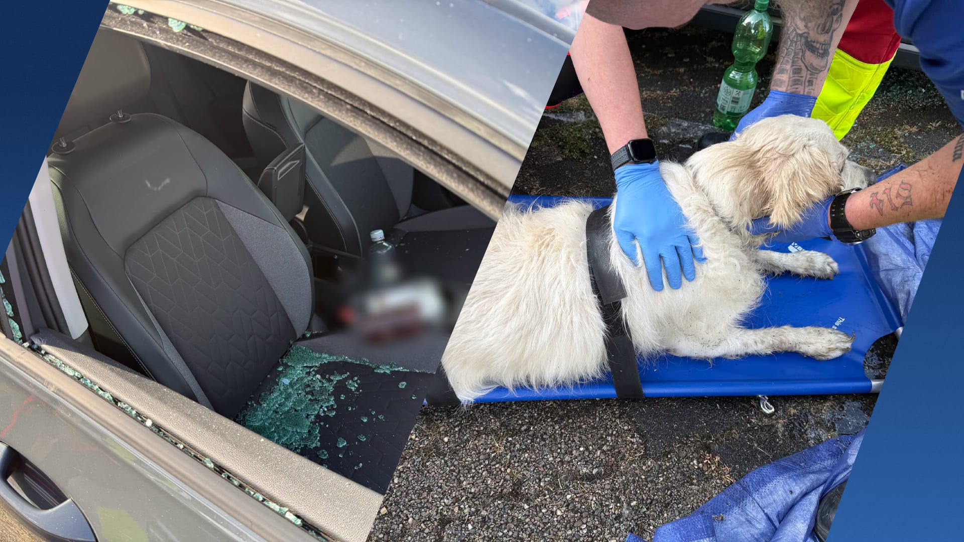 Ramon redt hond uit snikhete auto bij pretpark: 'Had het bijna niet overleefd'