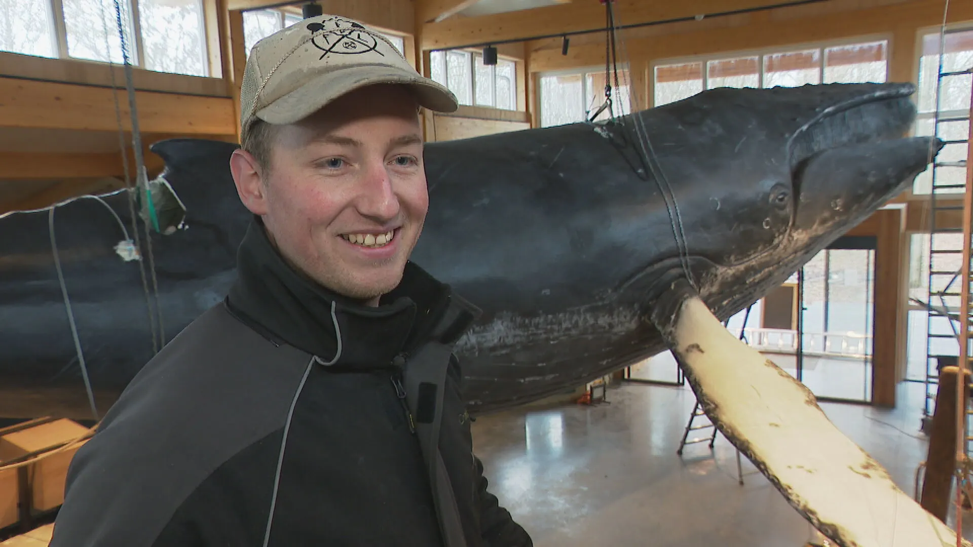 Jim maakte levensechte replica van bultrug Dutchy: 'Hij komt echt tot leven' 