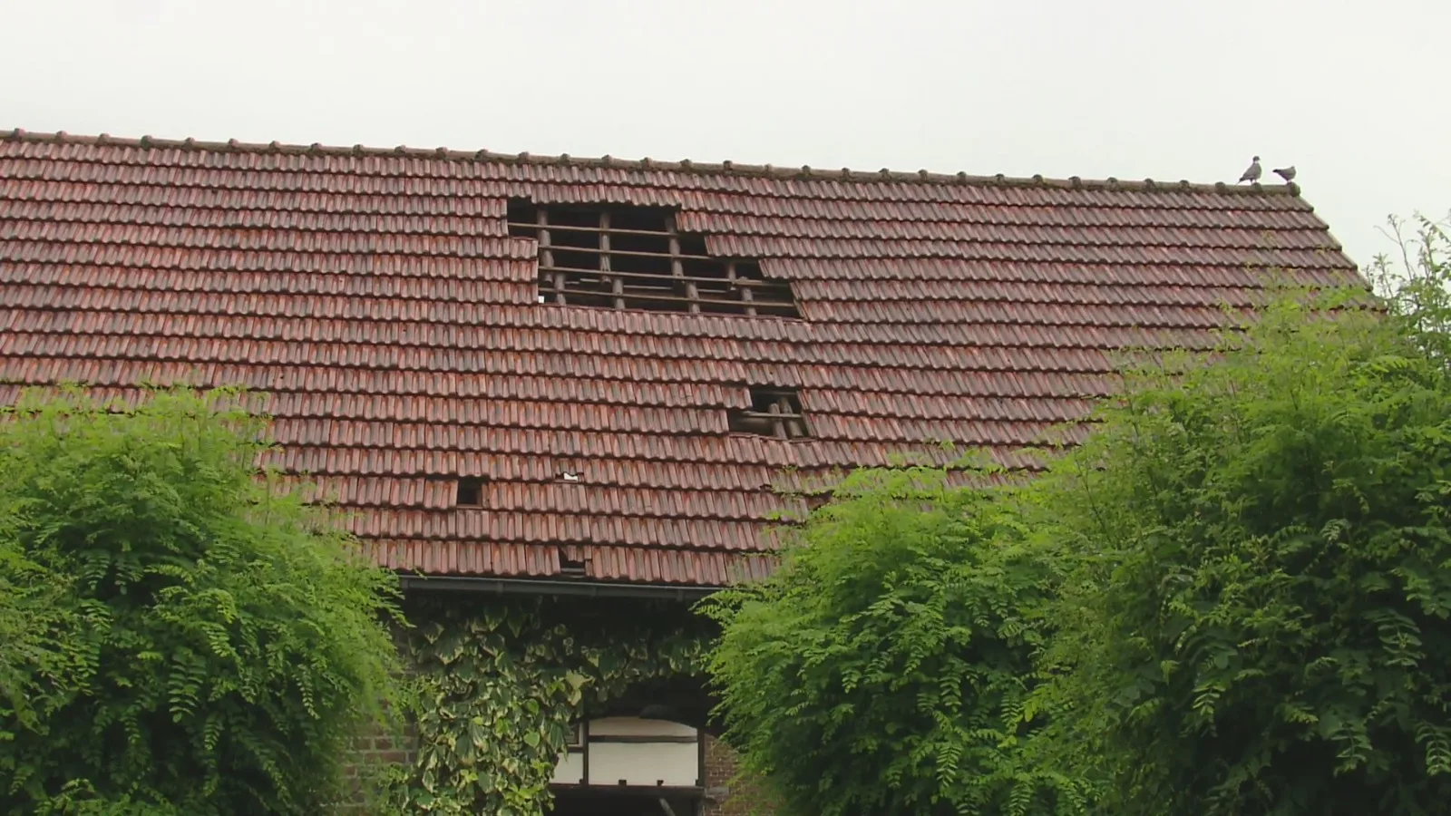 Laag overvliegend vliegtuig blaast tientallen dakpannen van dak bij woning Beek