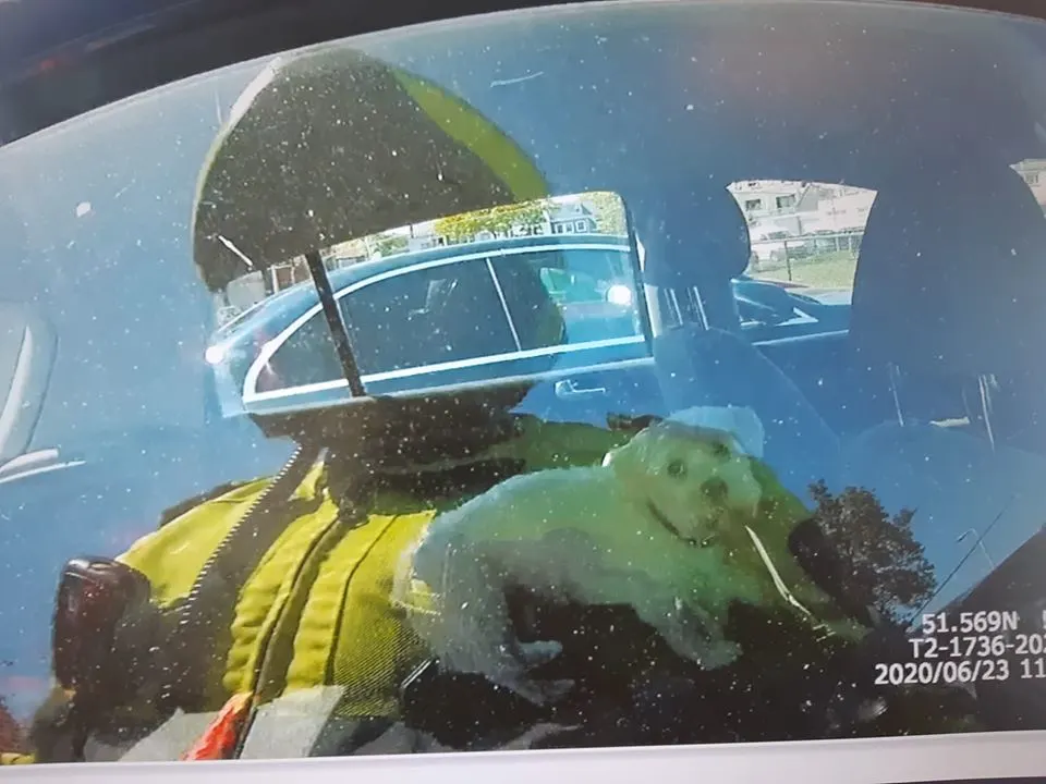 Motoragent redt hond uit snikhete auto: eigenaren waren uur weg