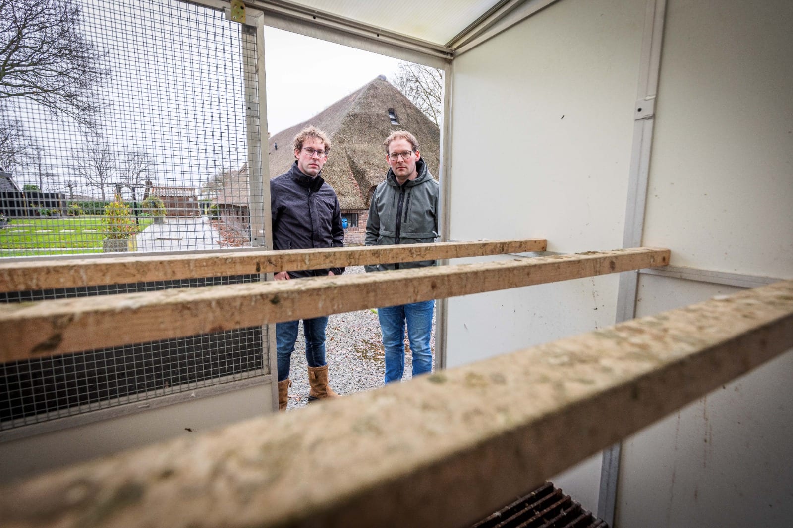 Litouwers horen tot 1 jaar cel tegen zich eisen voor stelen honderd exclusieve postduiven