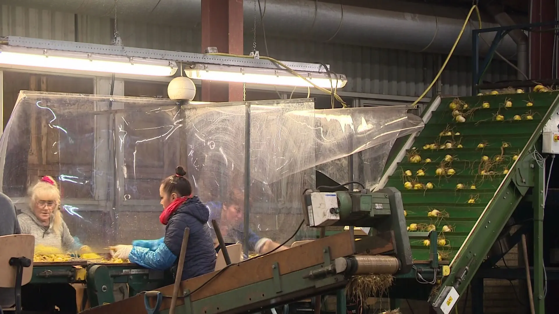 Boeren willen arbeidsmigranten huisvesten, maar lopen tegen woud van regels aan