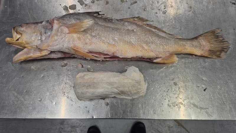 Honderden kilo's cocaïne gevonden in bevroren vis uit Suriname