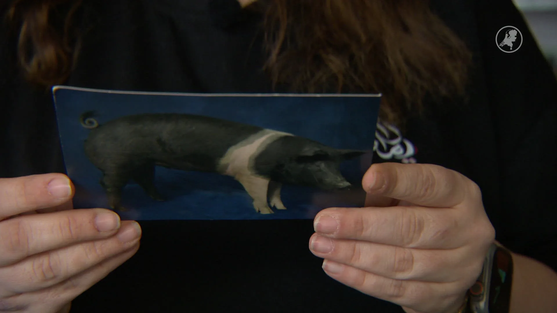 Ondernemer in Zwolle geschokt door haatbrief maar geraakt door massale steunbetuigingen