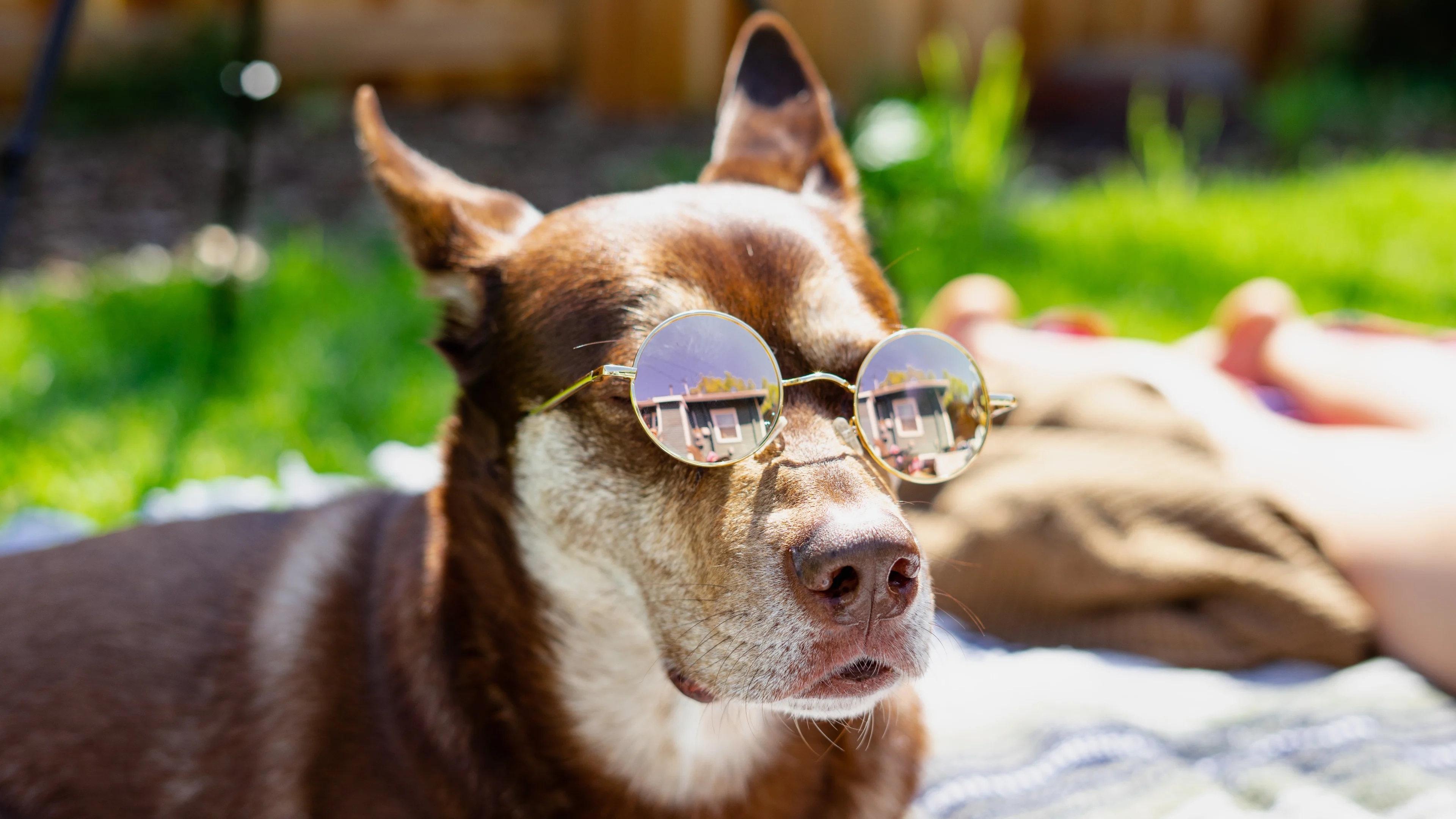 Recordhitte: 13 augustus was nog nooit zo warm in Nederland