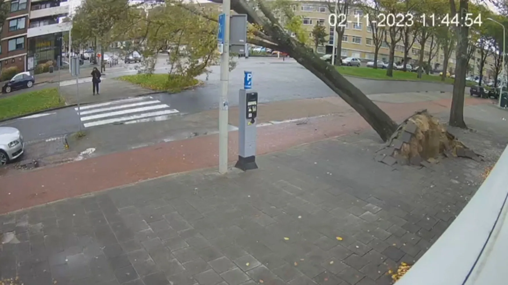 Boom valt op vrouw in Den Haag, Corina redt haar: 'Ze lag te kermen van de pijn'