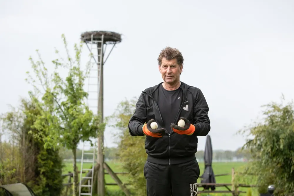 Triest ooievaarsdrama in Eembrugge: 'Nestje zou deze week uitkomen'