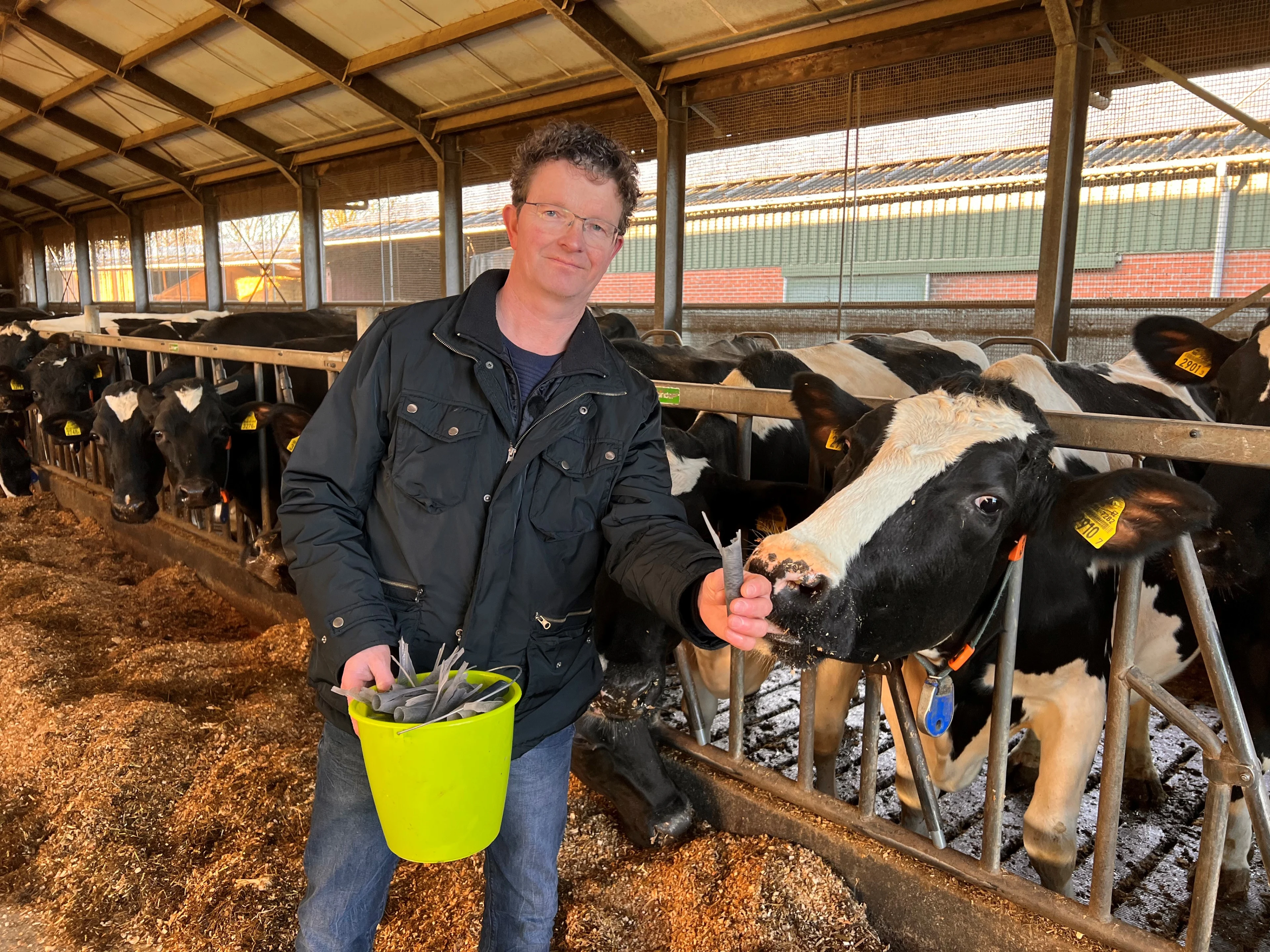 Weiland van boer Pedro ligt bezaaid met vuurwerkafval: 'Het is schandalig, dit wil je niet in de natuur'