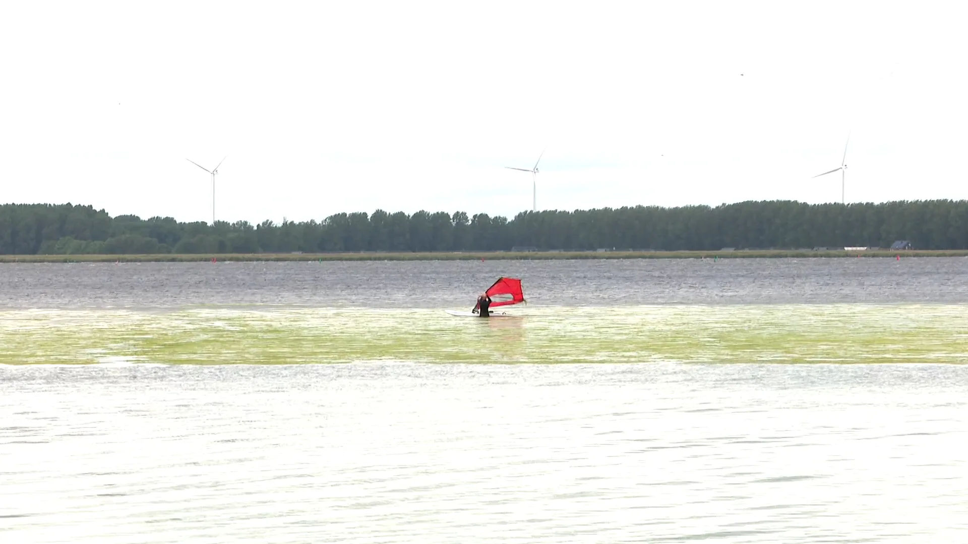 Groene drab in Gooimeer zorgt voor flinke overlast bij watersporters