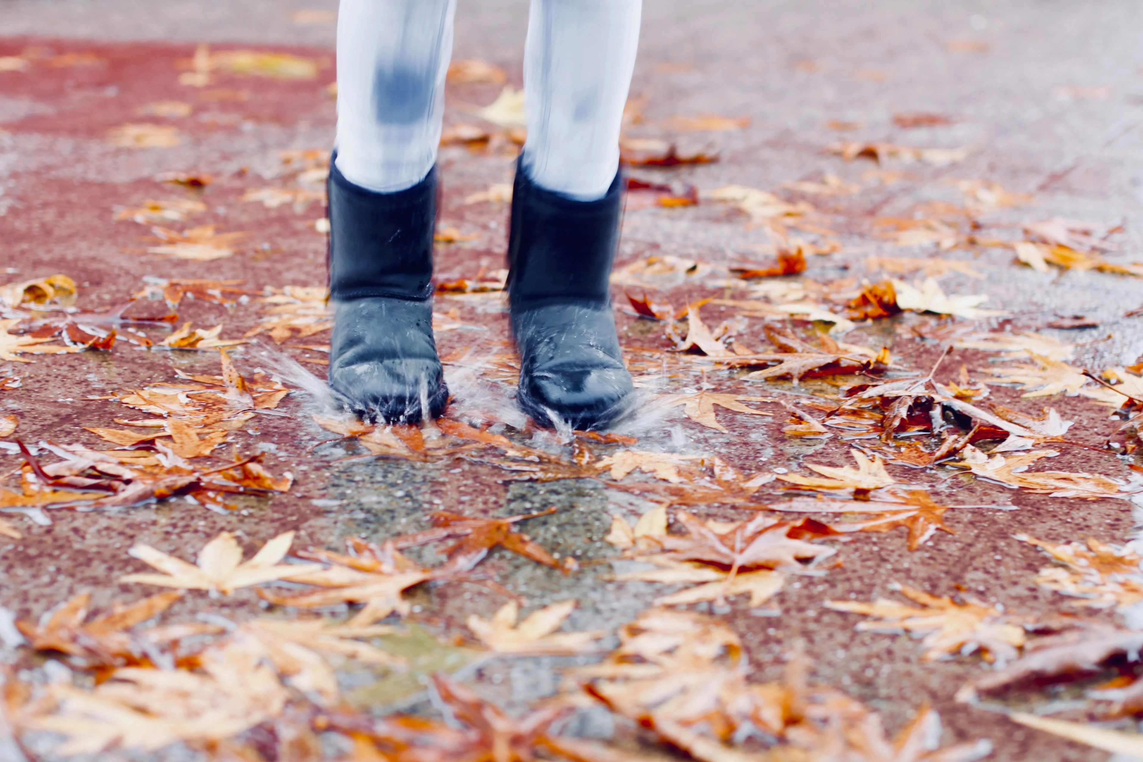 Herfstvakantie in het noorden begint dit jaar koud, nat en winderig