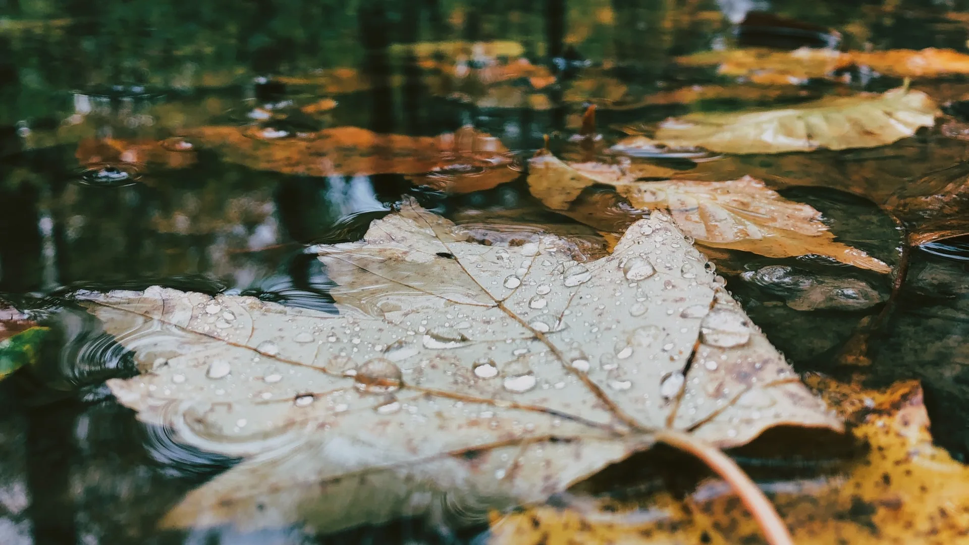 Opnieuw winterse buien mogelijk, maar ook af en toe ook wat zon