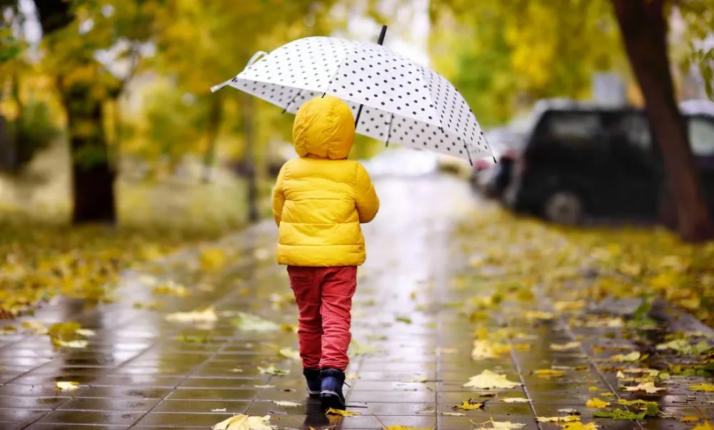 't Is weer voorbij die mooie zomer: temperatuur met 10 graden omlaag