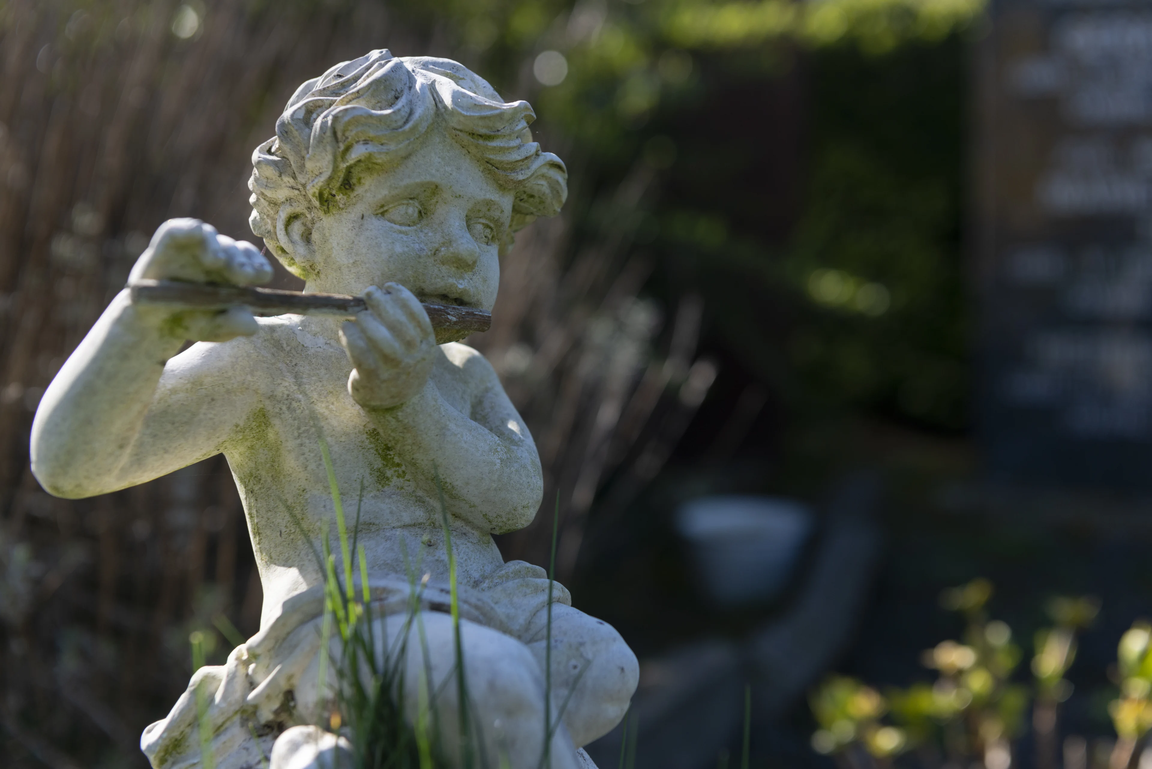 Reeks graven gemolesteerd in Hardewijk, 66-jarige vrouw aangehouden