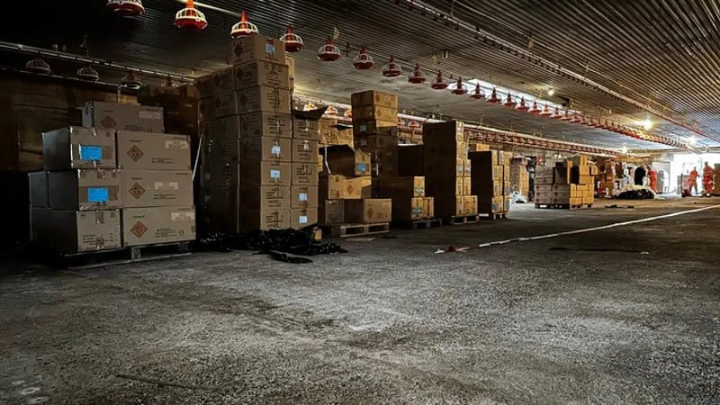 Megahoeveelheid levensgevaarlijk vuurwerk voor Nederlandse markt ontdekt