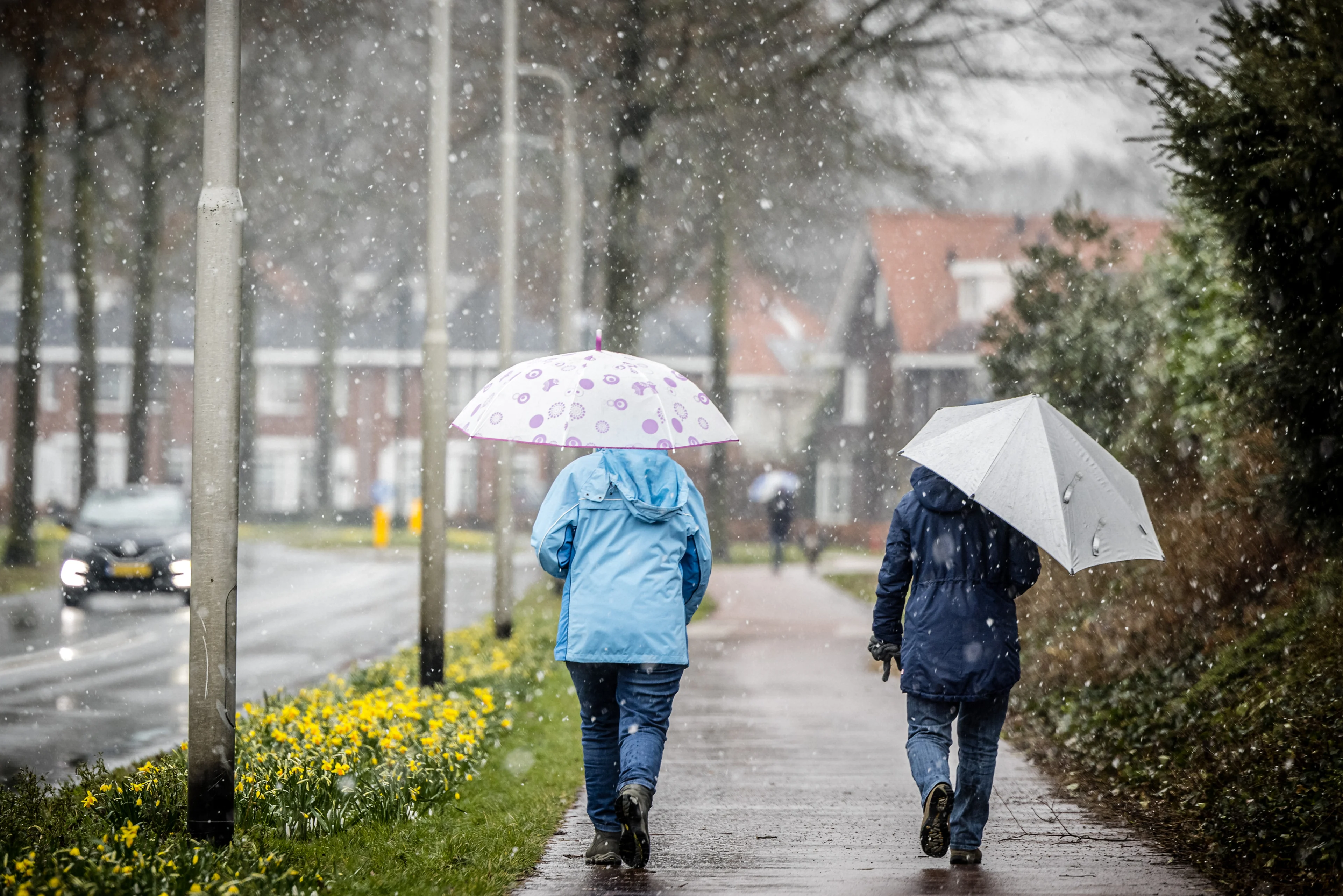 Lenteweer nog ver weg: komende dagen bewolkt en veel regen