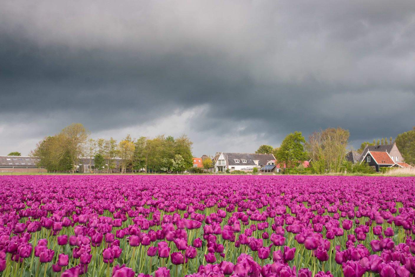 Mooi lenteweekend op komst, vandaag nog even doorbijten