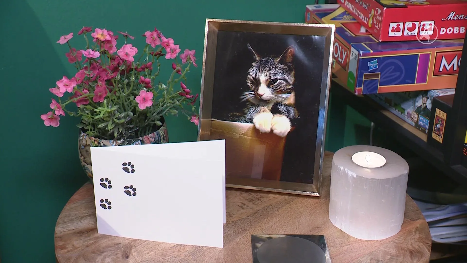 Kattenhater in Houten: nog meer katten ziek, eigenaren voelen zich niet serieus genomen