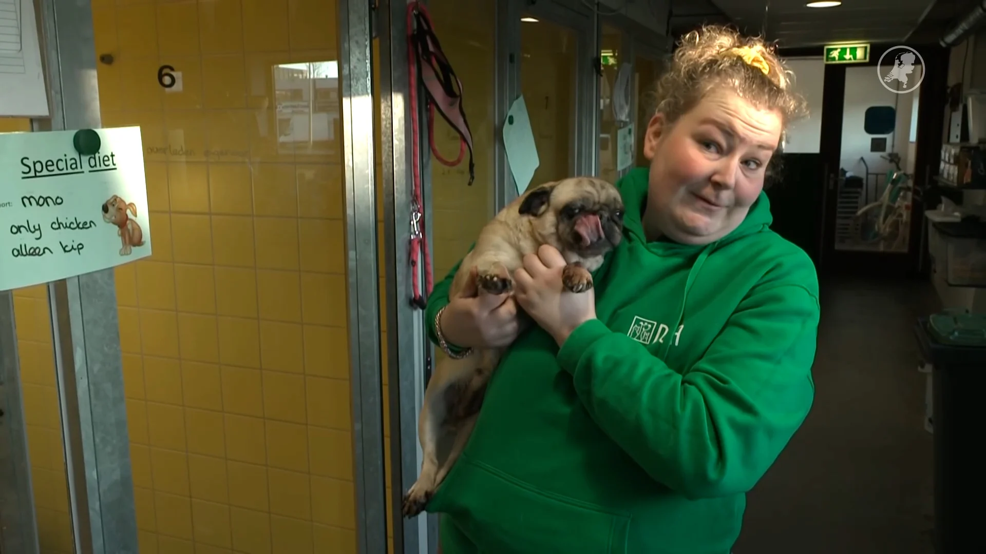 Bijzondere actie bezorgt asieldieren kerstpakketten én hoop op gouden mandje
