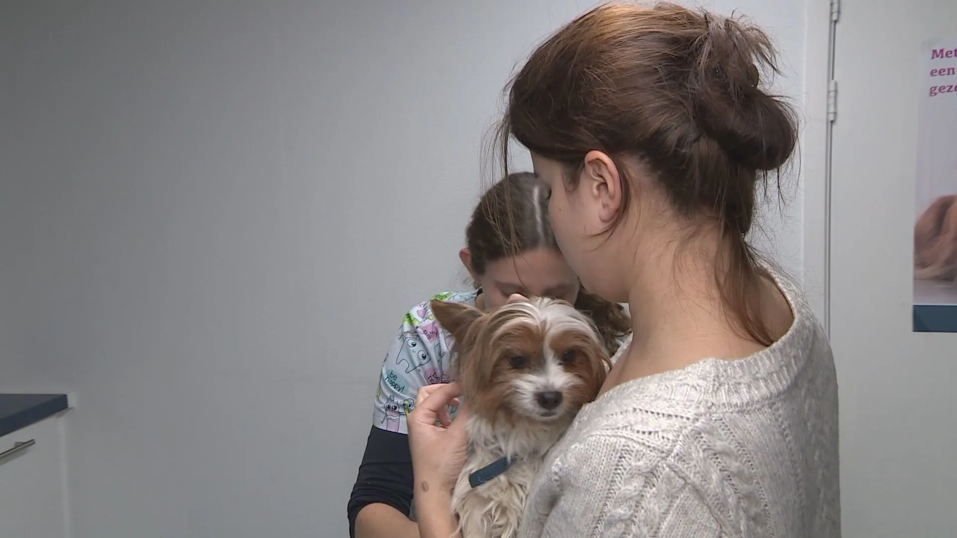 Vrees voor uitbraak rabiës door Oekraïense huisdieren, gratis prik moet dit voorkomen