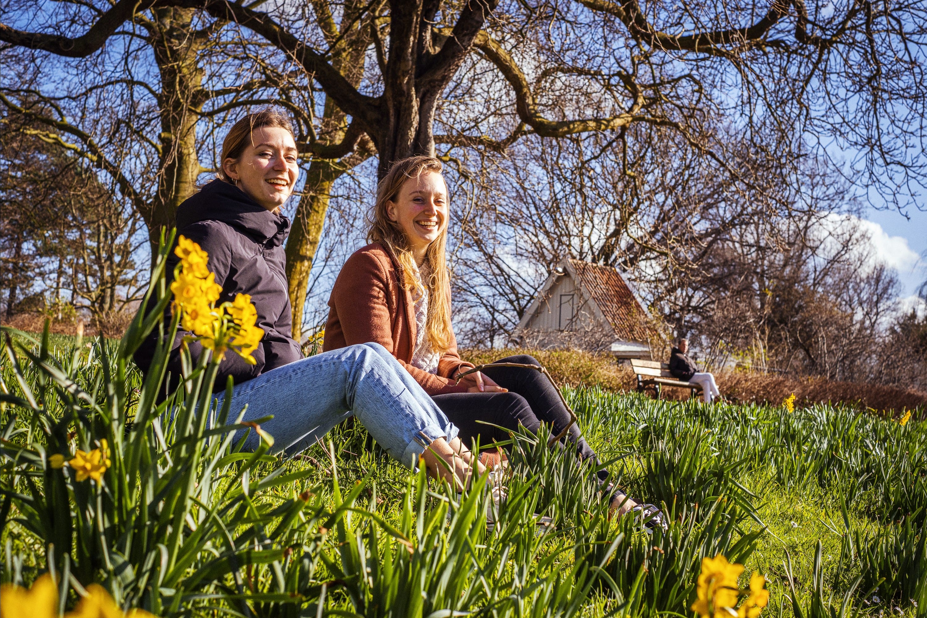 Lange reeks van uitzonderlijk zonnige dagen voorbij, record was bijna verbroken