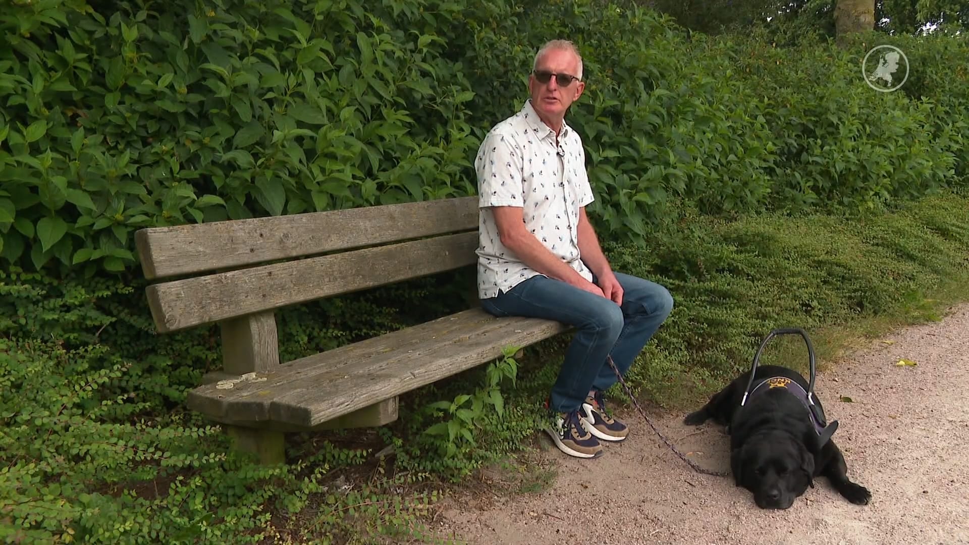 Willem zamelde duizenden doppen in voor geleidehonden, nu zoekt hij opvolger