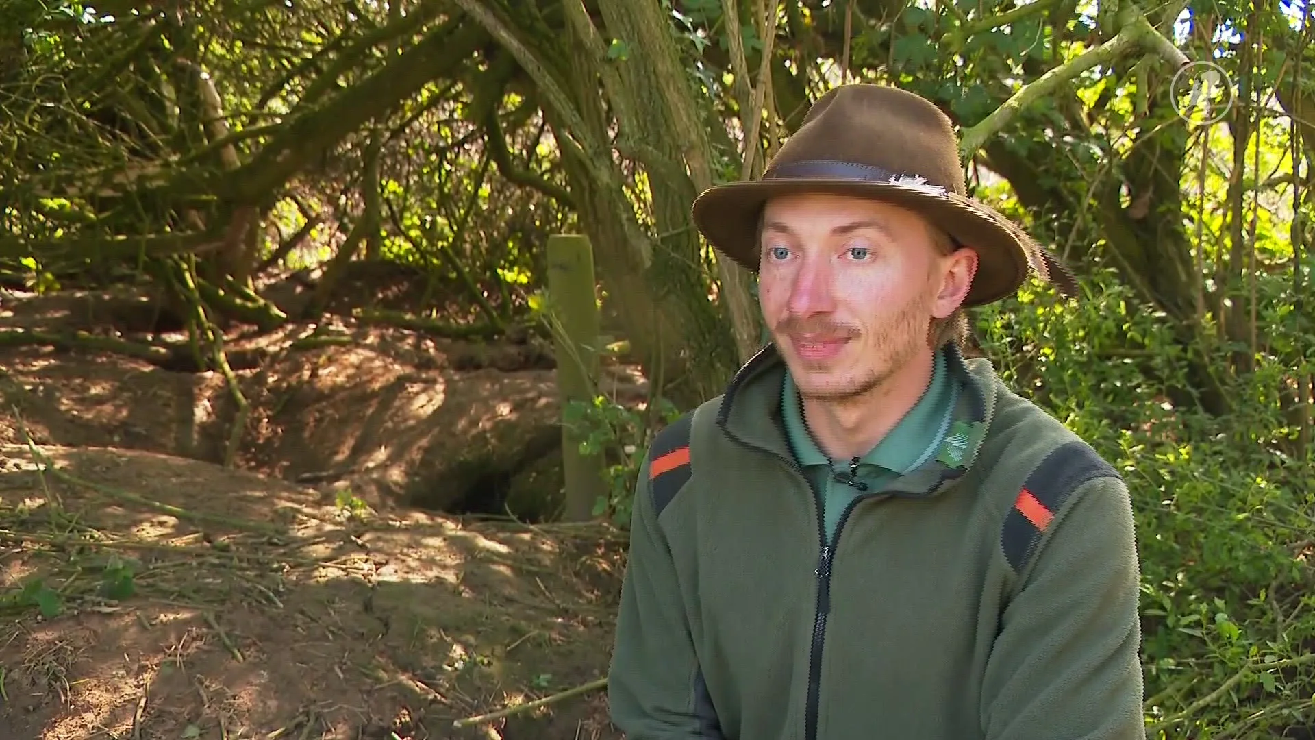 Gif gevonden bij dassenburchten in Brabant
