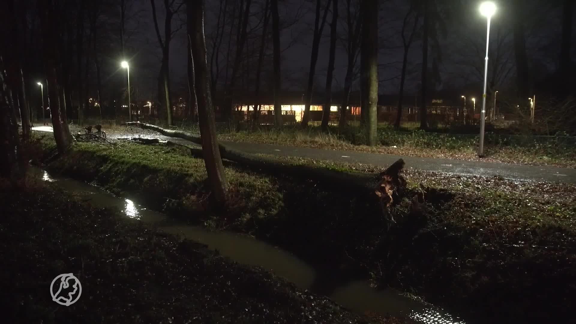 Bomen gekapt langs weg waar vrouw overleed door omvallende boom