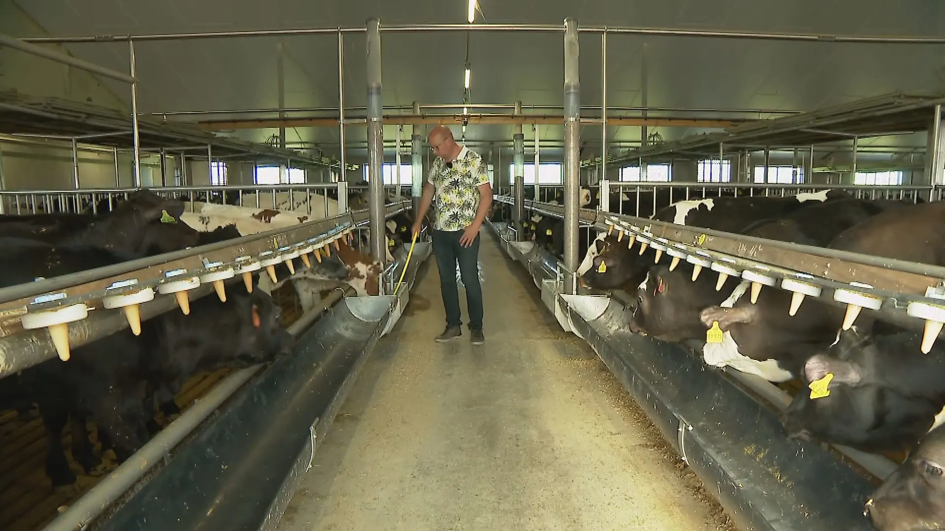 De kogel is door de kerk: boer Wim is een piekbelaster, maar wat nu?