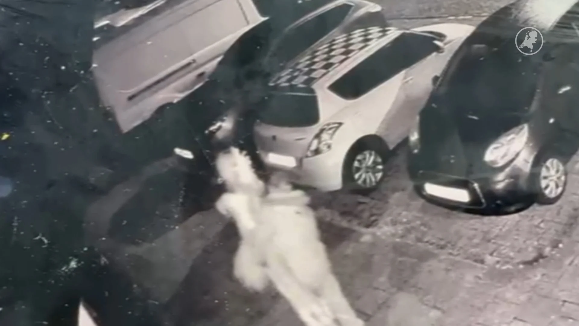 Onbekende man steelt levensgrote ijsprinses-pop uit kerststal Marja