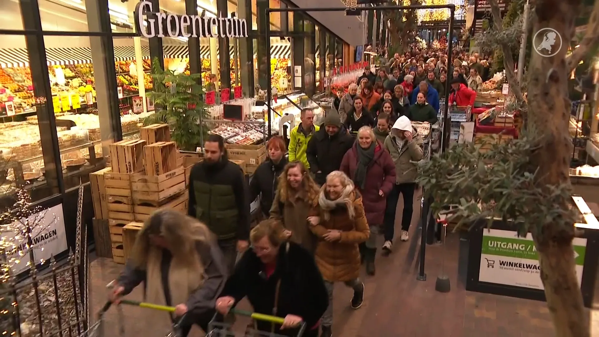 Run op kerstkortingen bij tuincentrum: honderden mensen stormen naar binnen
