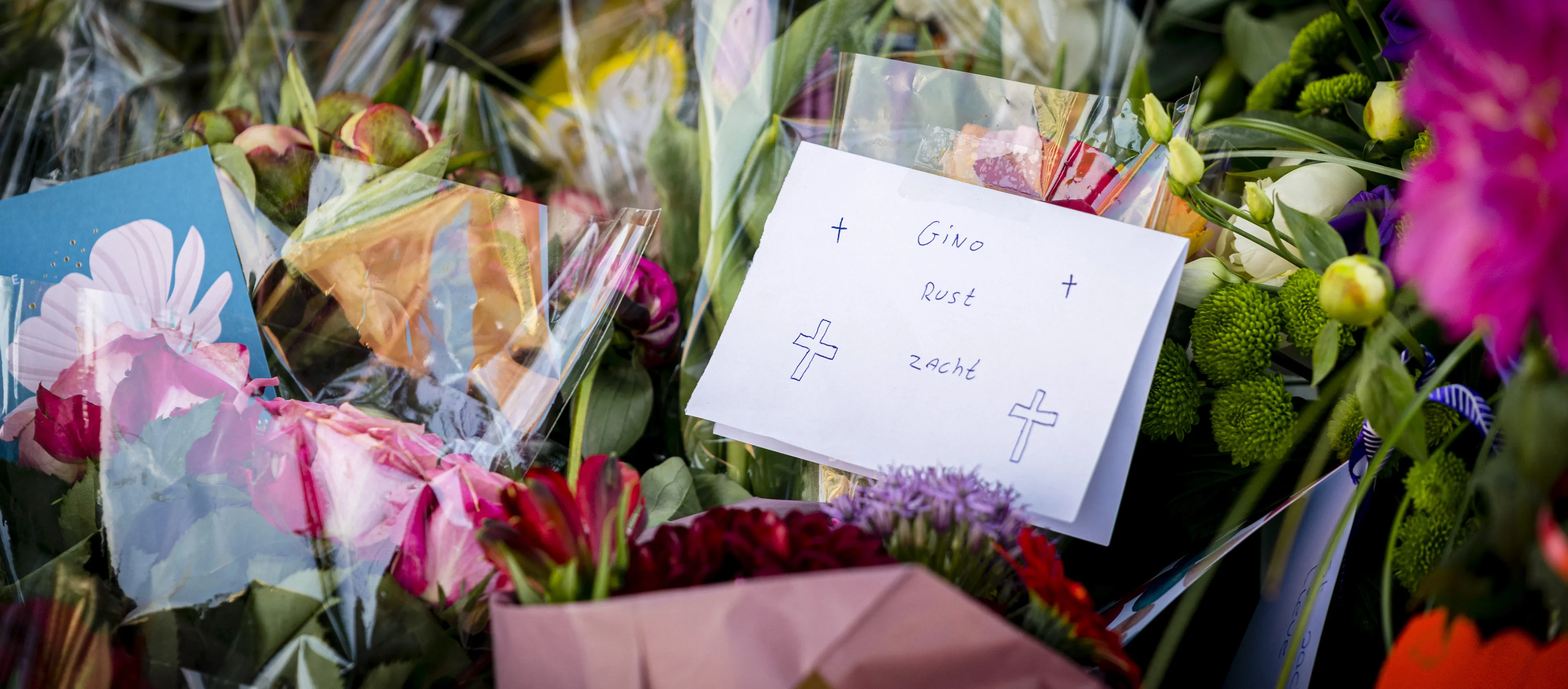 Aangetroffen lichaam Geleen inderdaad van vermiste Gino: 'Hij komt niet meer thuis'