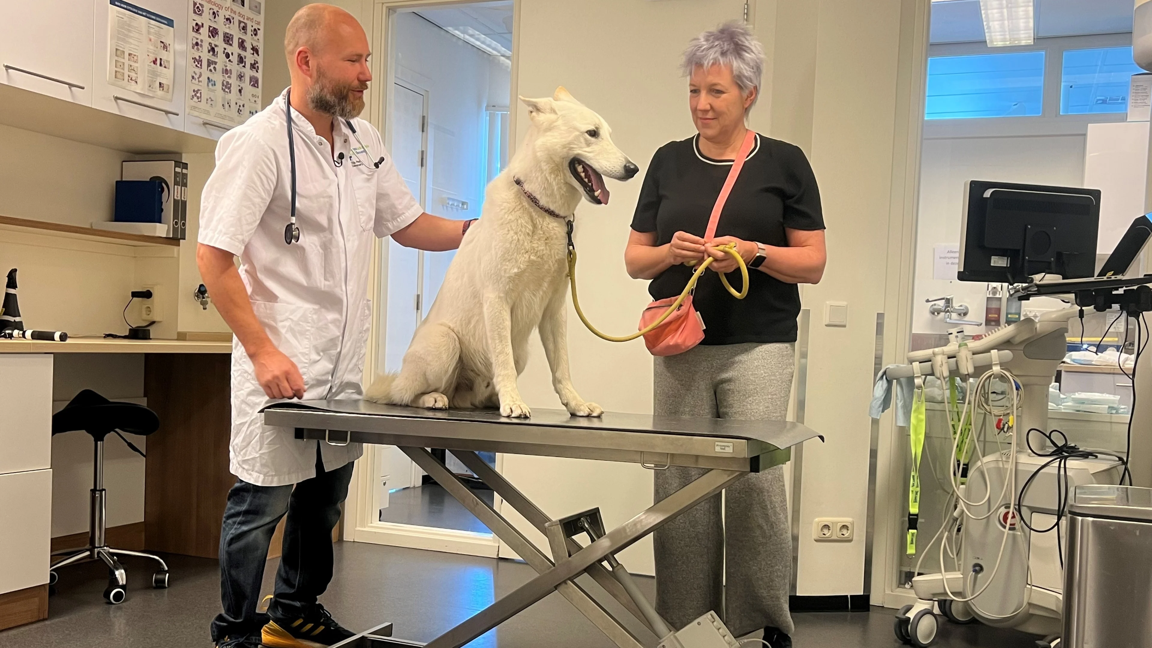 Chocolade-paaseitjes kunnen levensgevaarlijk zijn voor honden: 'Laat geen chocola staan'