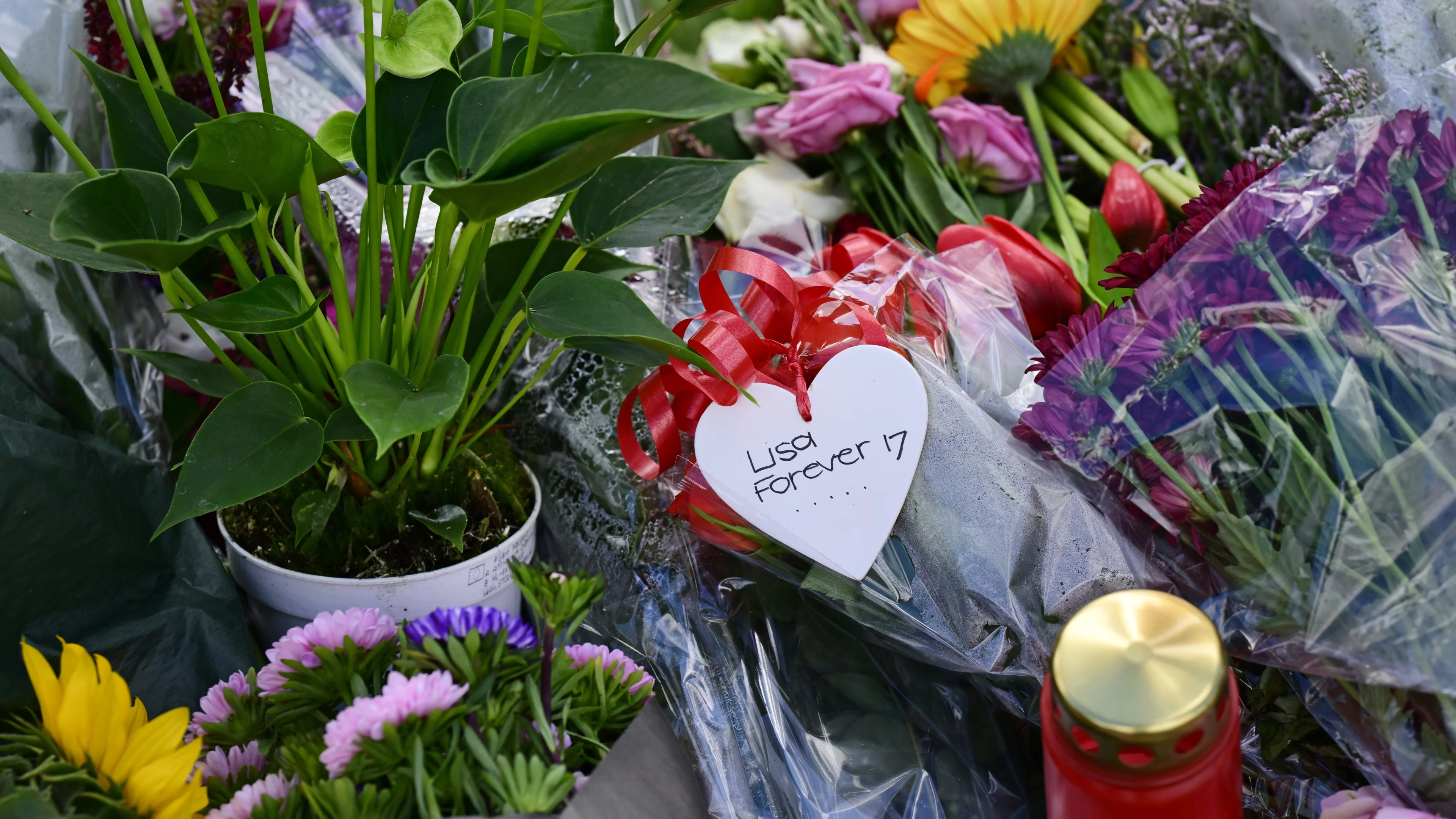 Verdachte van dood Lisa (17) blijft zeker 2 weken langer vastzitten