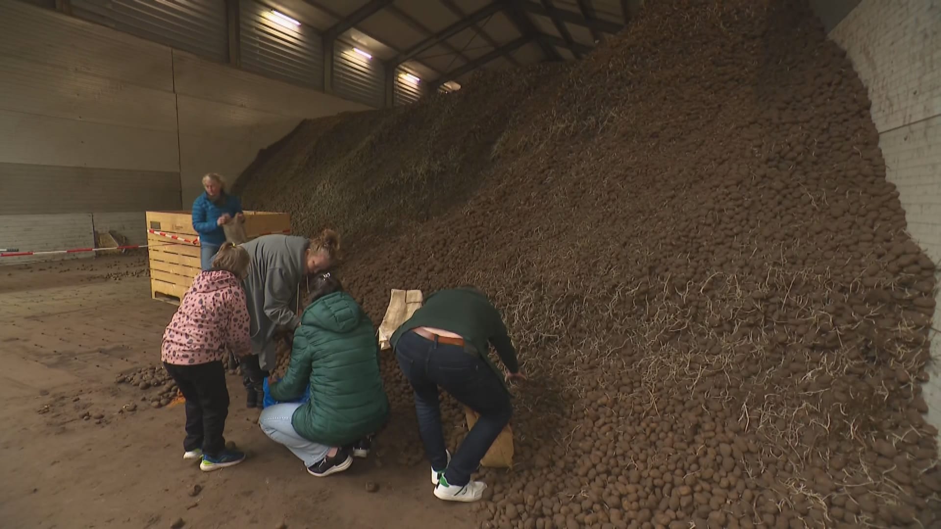 Afnemer failliet, Richard blijft zitten met 1,5 miljoen kilo aardappelen