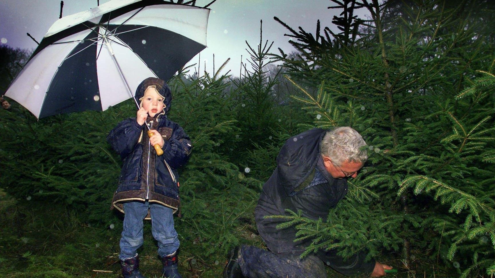 Dit weer kunnen we verwachten tijdens de kerstdagen