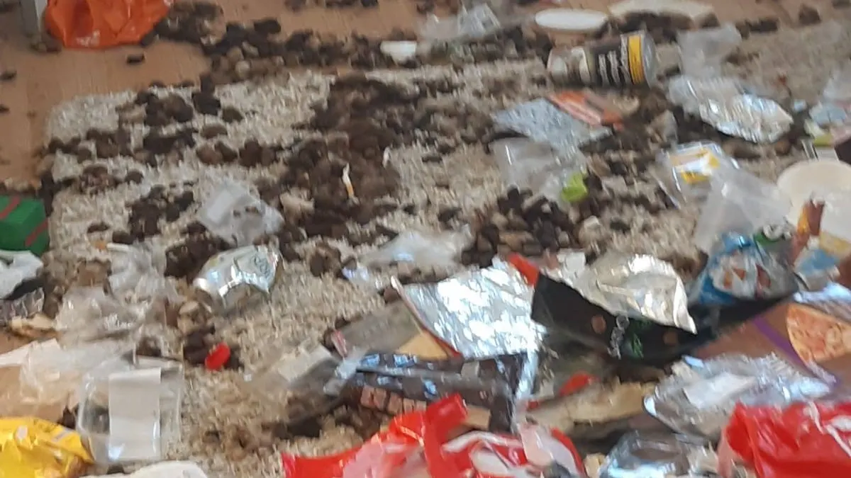 Dierenpolitie haalt hond uit ernstig bevuilde woning