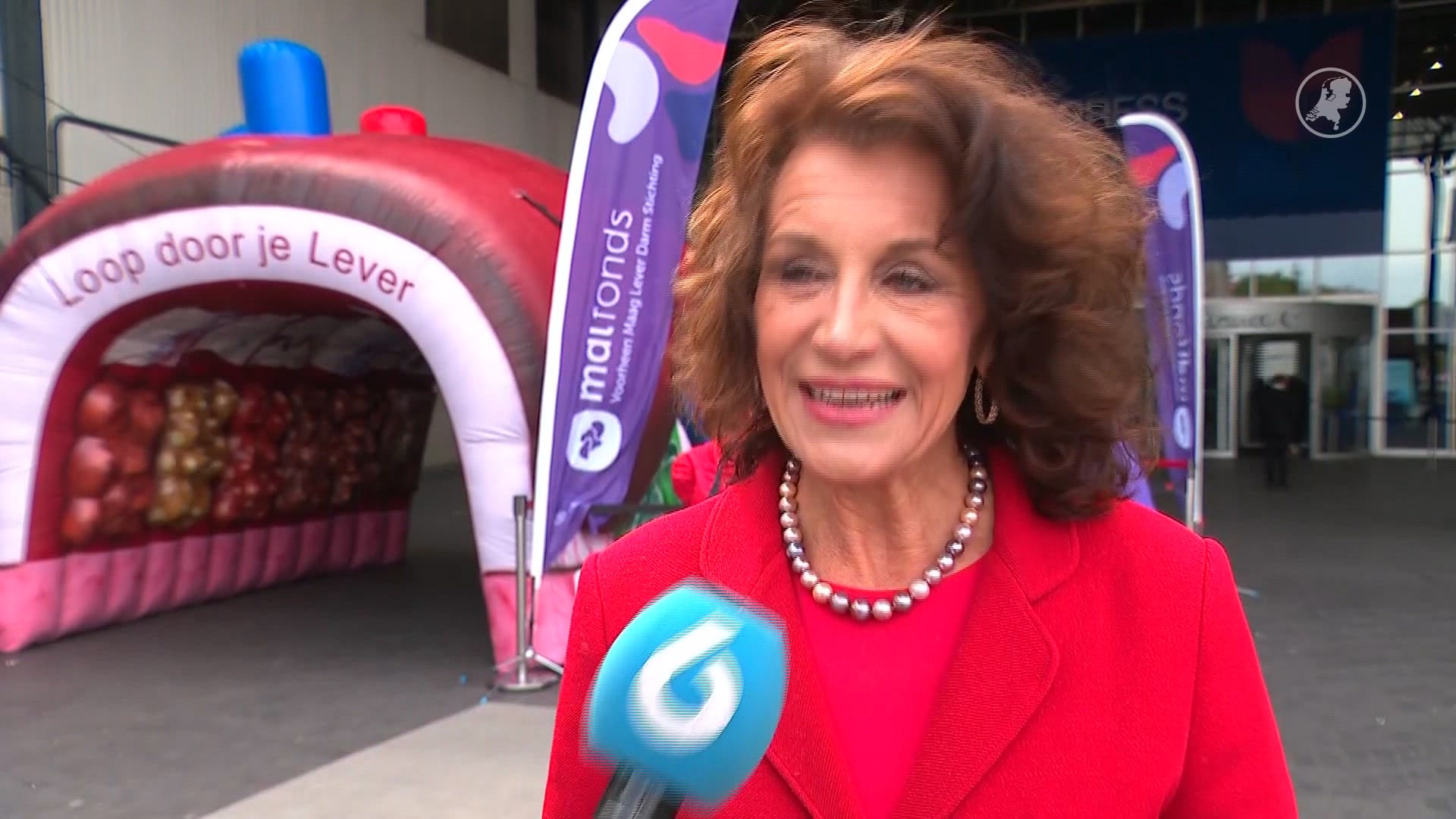 Directeur MDL Fonds: 'Je hebt je lever ongelooflijk hard nodig'