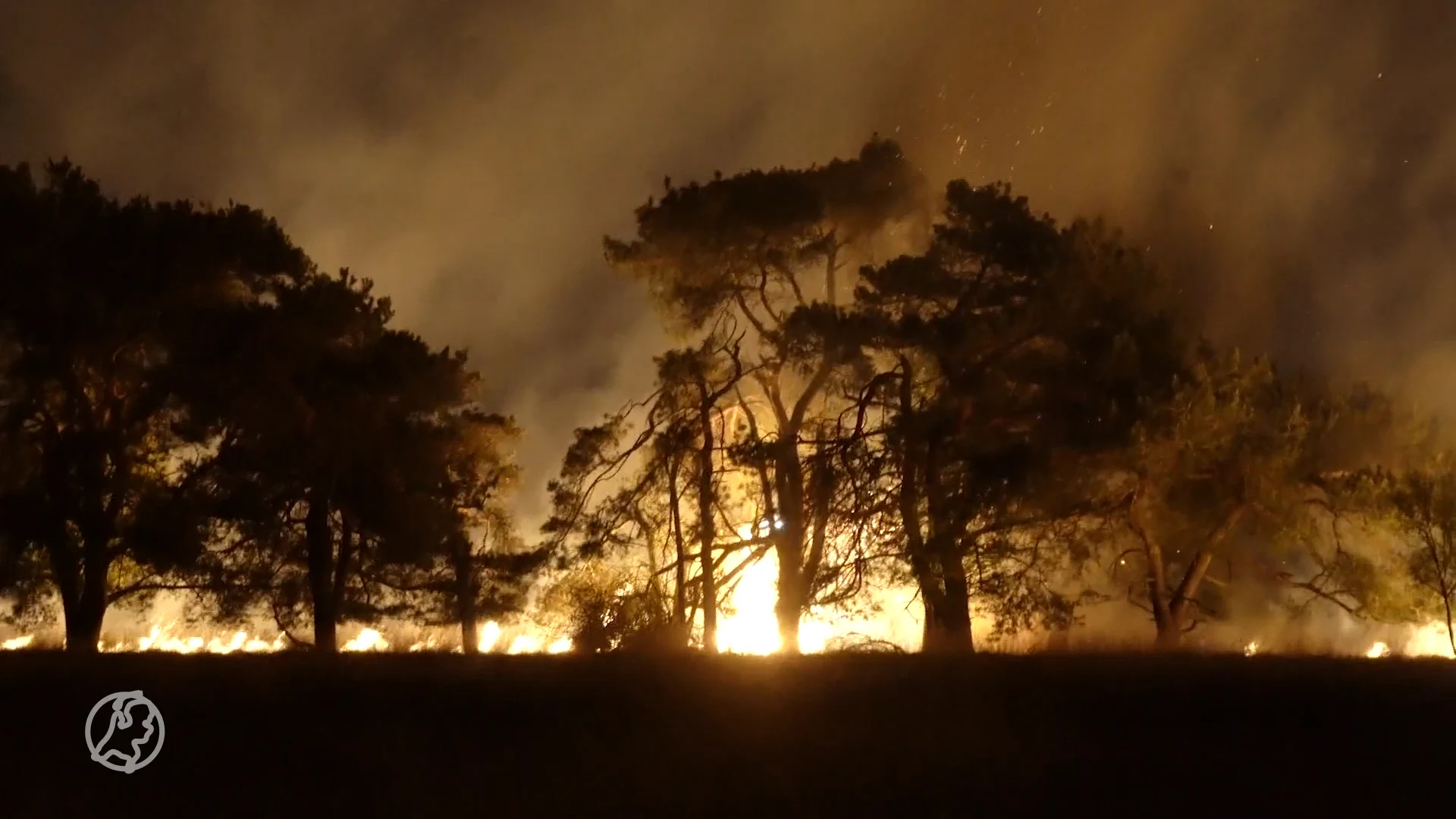Steeds vaker natuurbranden, zo helpt Defensie de schade te beperken