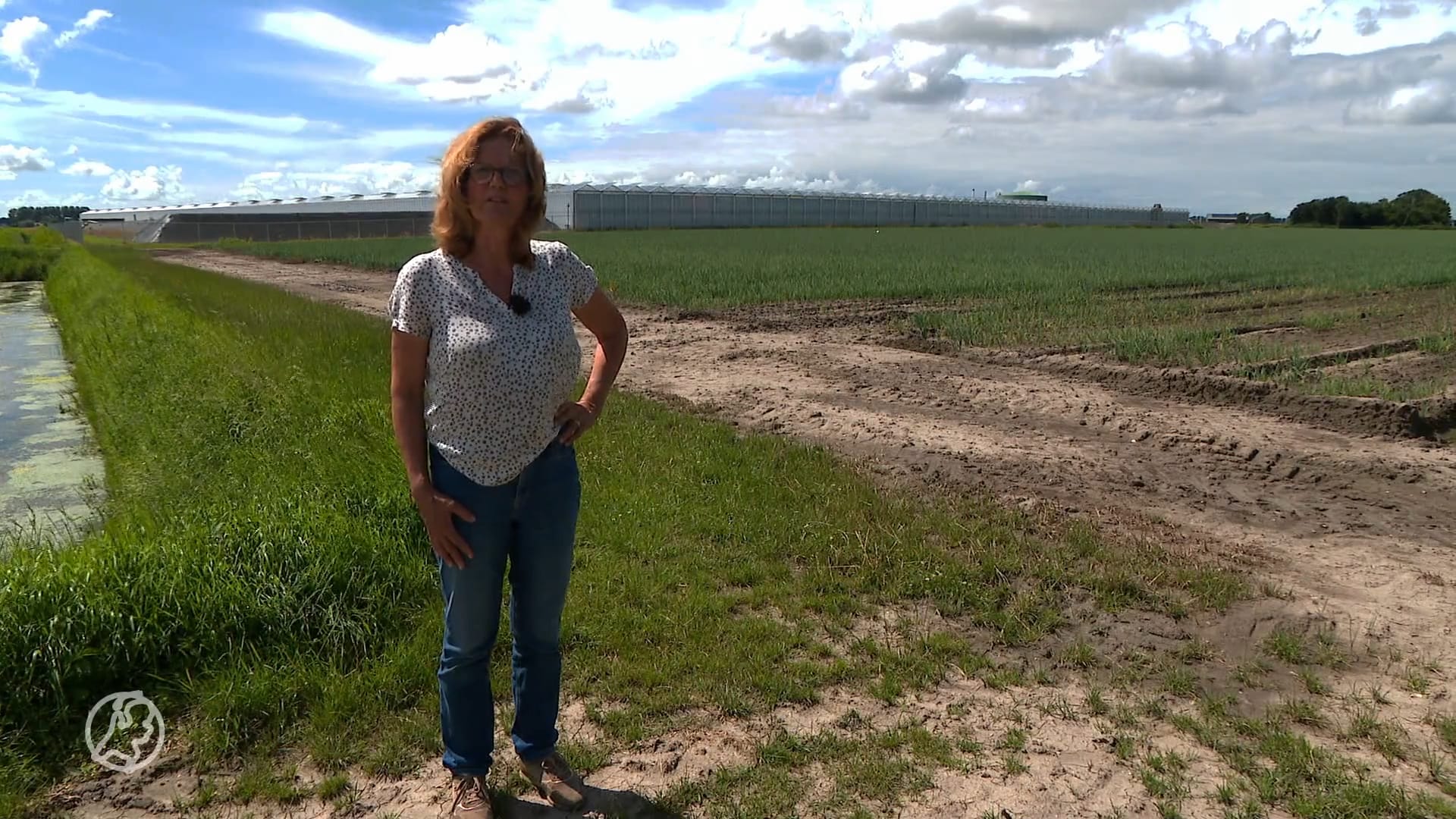 Omwonenden ‘wietfabriek’ zijn geur zat: 'hoofdpijn, misselijk en stinkende was'