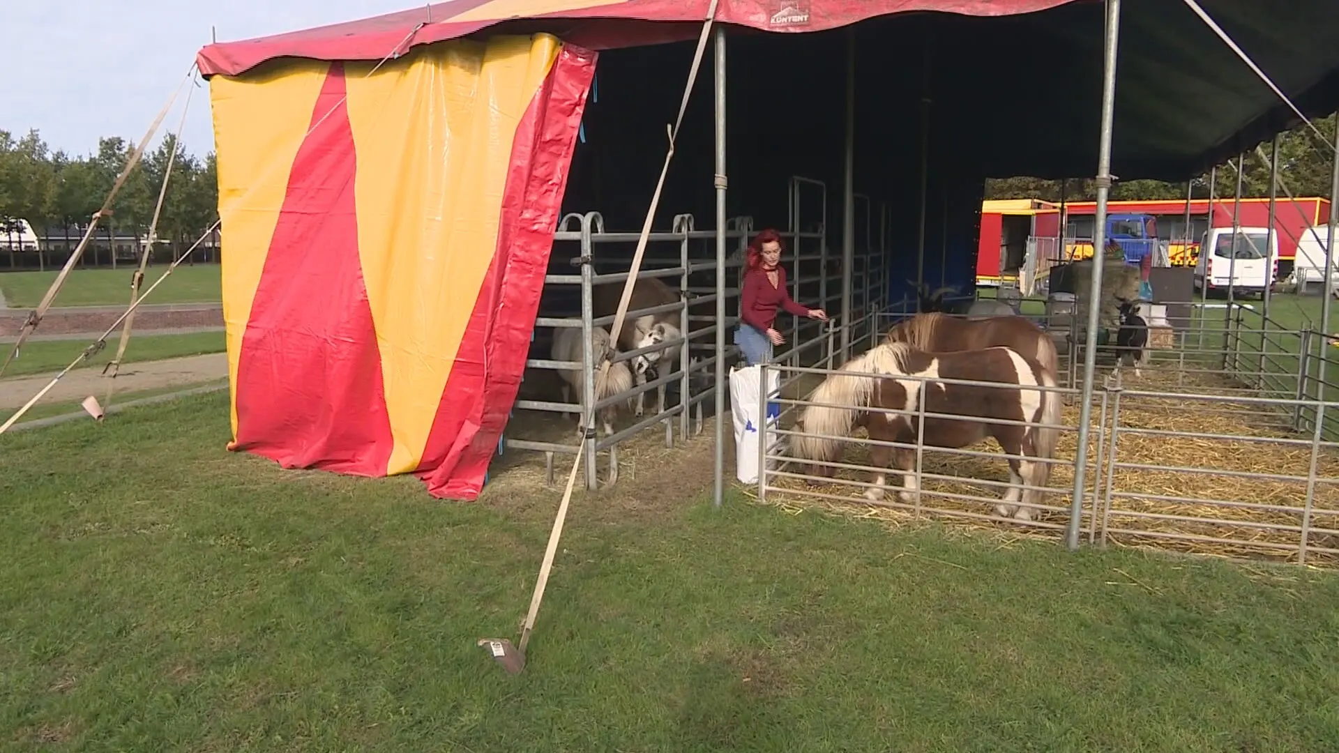 Noodlijdend circus Barani overladen met hulp, maar krijgt opnieuw een klap te verwerken