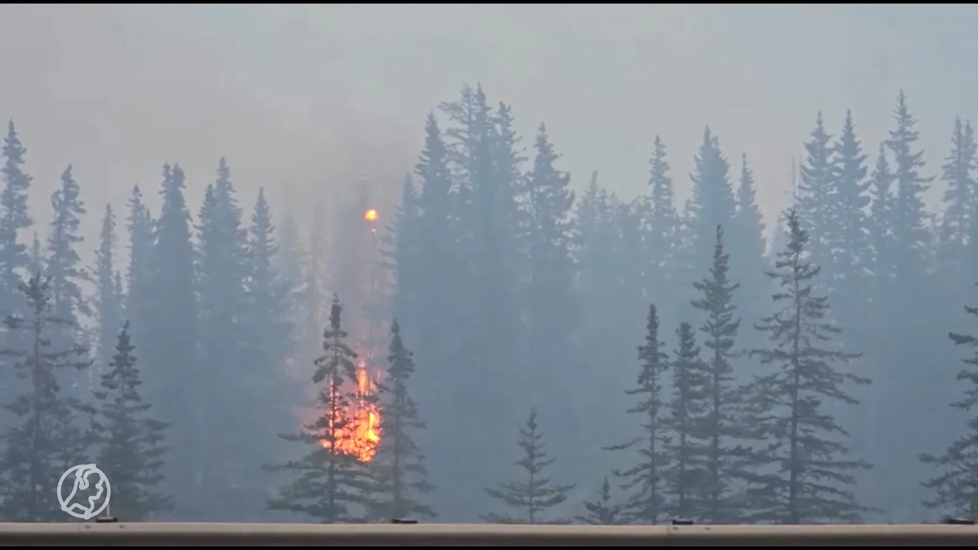 Nederlanders moeten weg uit nationaal park Canada om branden