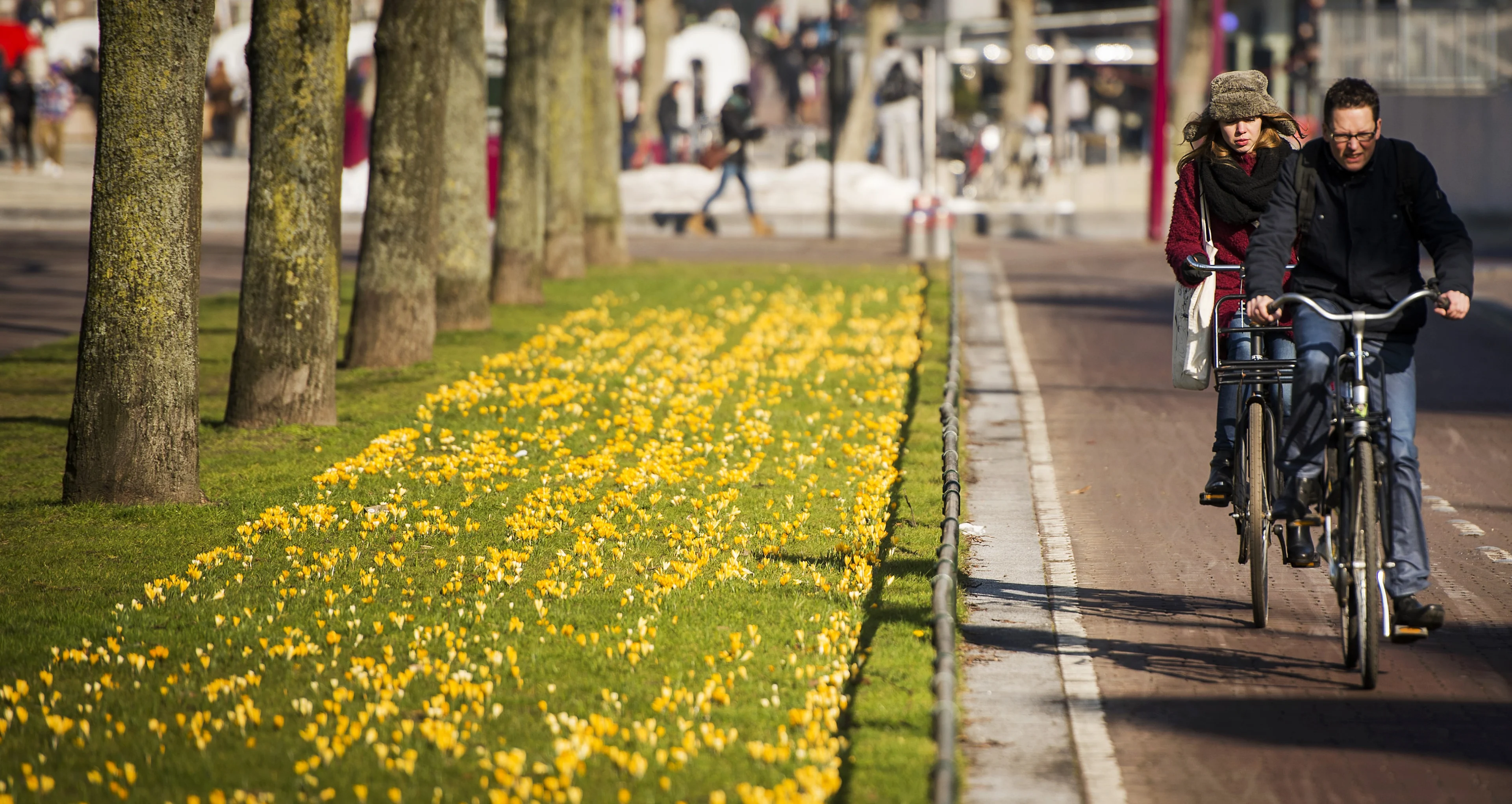 Zon breekt door na grijs begin van de dag