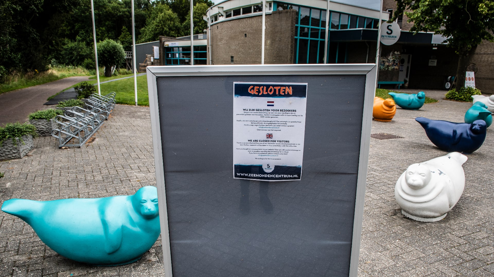 Zeehondencentrum Pieterburen gaat weer open na besmette vrijwilligers