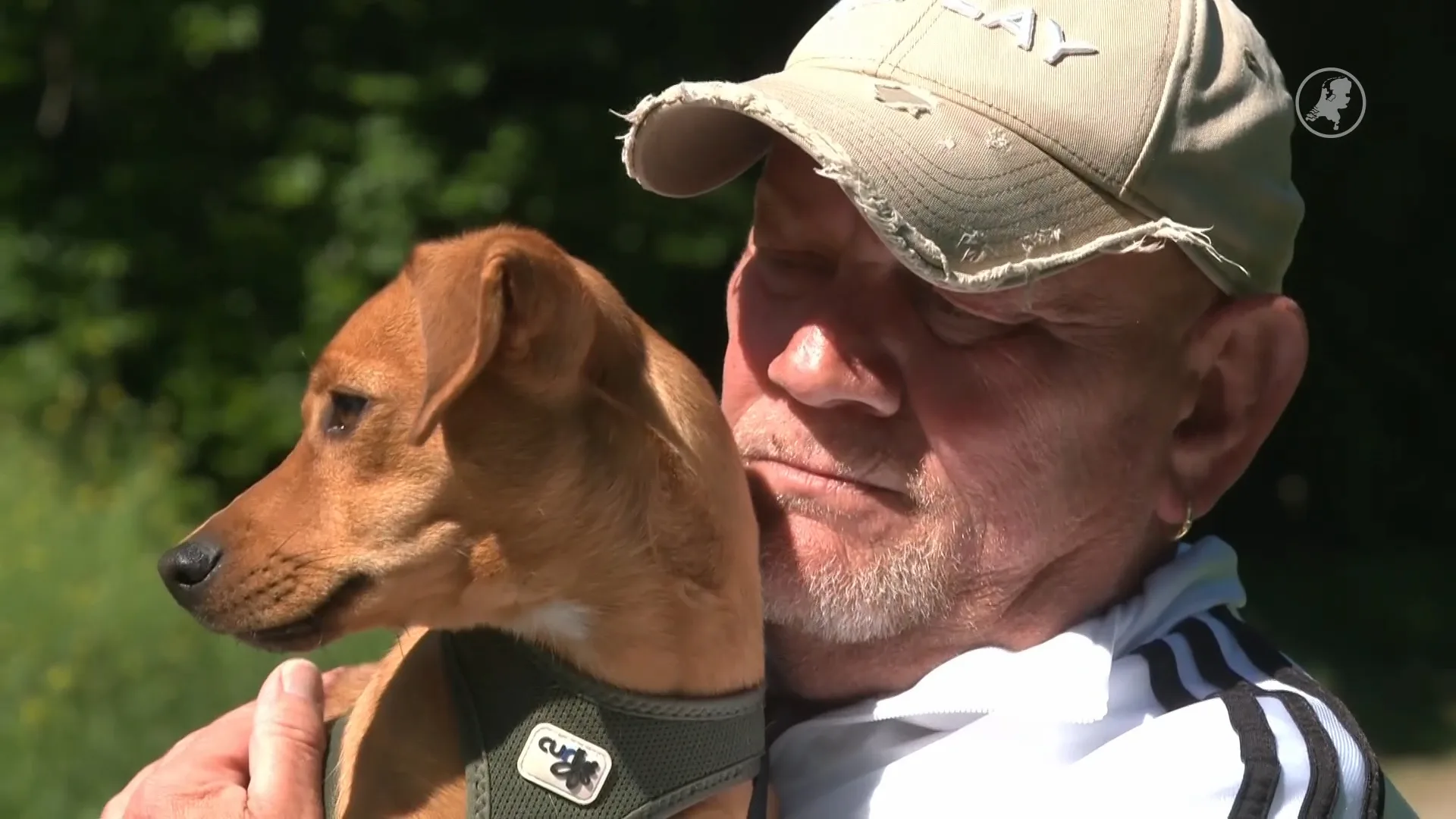 Eric wordt door hond aangevallen tijdens uitlaten puppy