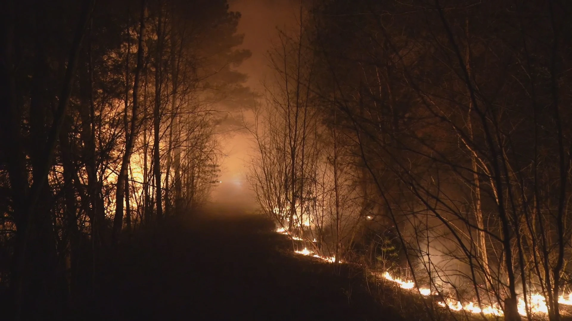 Zeer grote natuurbrand in Budel-Dorplein woedt urenlang